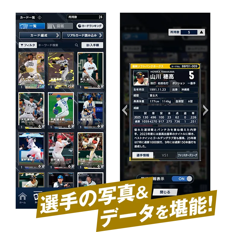 選手の写真＆データを堪能！