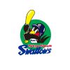 東京ヤクルトスワローズ